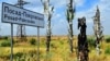 «Страх, жах і крик душі». Як відбудовують Херсонщину, чи вистачає коштів?
