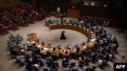 Напередодні конгресмени США повідомили «Голосу Америки», що будуть переконувати адміністрацію Білого Дому домагатися виключення Росії із Ради Безпеки ООН