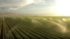 Наливають усім: як в окупованому Криму ділять захоплену Росією воду з Дніпра