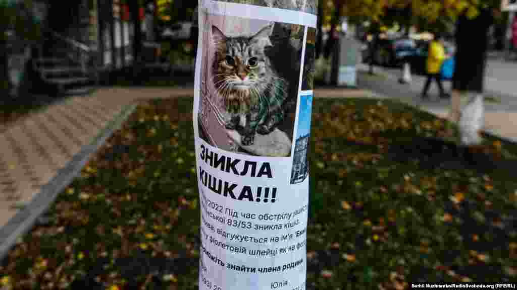 Na ovom letku moli se za pomoć u pronalasku mačke nestale u ruskom napadu. Mačka &quot;Ema&quot; je kasnije pronađena.