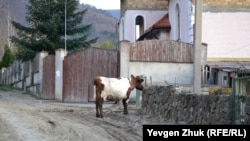 Köy yaşayışı