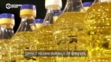 Приведет ли война в Украине к дефициту подсолнечного масла? 