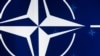 Image result for "Аляксандр Алесін"