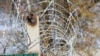 Новые кодексы: Парламент отложил рассмотрение поправок в законы 