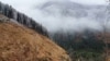 GRAB-A Bullet In The Back: The Deadly Toll Of Illegal Logging In Romania's Mountains
