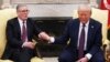 Миротворці в Україні: Трамп каже, що підтримує статтю 5 НАТО, але вона не знадобиться