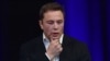 Маск пообіцяв покрити всю Європу зарядними станціями Tesla і дізнався про #KyivnotKiev
