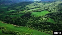 جنگل‌های هیرکانی در استان گلستان