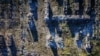 Reuters: РФ може погодитися на використання заморожених 300 млрд доларів в рамках можливої мирної угоди, але є умова 