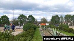 Агавы, якім у Дуброўне яўна будзе халодна
