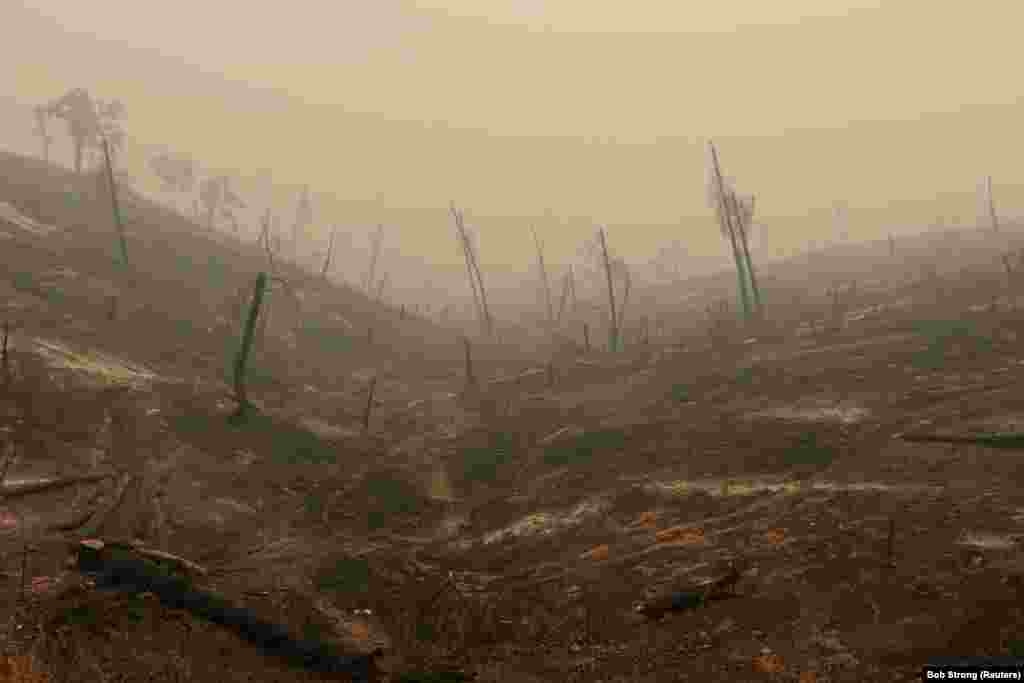 Иго, Калифорния. Лысые холмы после пожара Carr Fire. Из-за стихийного бедствия шесть человек погибли, еще семерых объявили пропавшими без вести в одном из самых разрушительных лесных пожаров в истории США. Более 800 домов и 300 других зданий превратились в пепел. (Reuters/Bob Strong) 