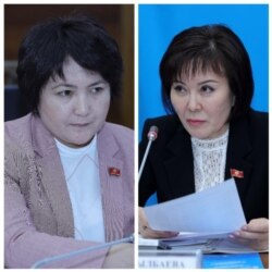 Авторы законопроекта - депутаты Гульшат Асылбаева и Айнура Осмонова.
