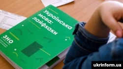 Наразі навчальний процес у школах Запоріжжя та інших підконтрольних Україні населених пунктів регіону відбувається в онлайн-режимі