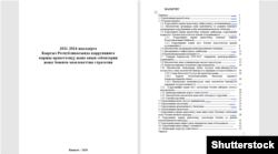 Содержание Антикоррупционной стратегии 2021-2024.
