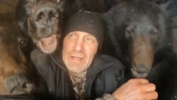 Михаил Филиппов в вольере с медведями. Скрин из видео на YouTube-канале "Мишкина берлога"