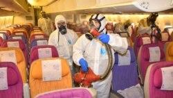 Сотрудники Thai Airways обрабатывают салон самолёта от коронавируса. Иллюстративное фото.