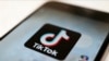 Албанія заборонила TikTok щонайменше на рік