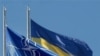 Обамі радять догоджати Росії і не брати Україну до НАТО