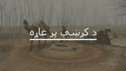 کورونا وبا تعلیمي بهیر زښته زیانمن کړی دی
