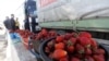 Грузоперевозчики заявили о барьерах на границе с РК