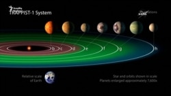 Həyat ola bilən 7 planet tapıldı