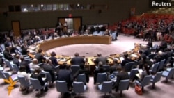 Russian, Ukrainian Ambassadors Trade Blame At UN Session