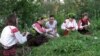Image result for Балахонаў