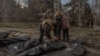 Россия игнорирует стандарты гуманного обращения во время войны – Amnesty International