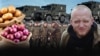 Image result for сітнік